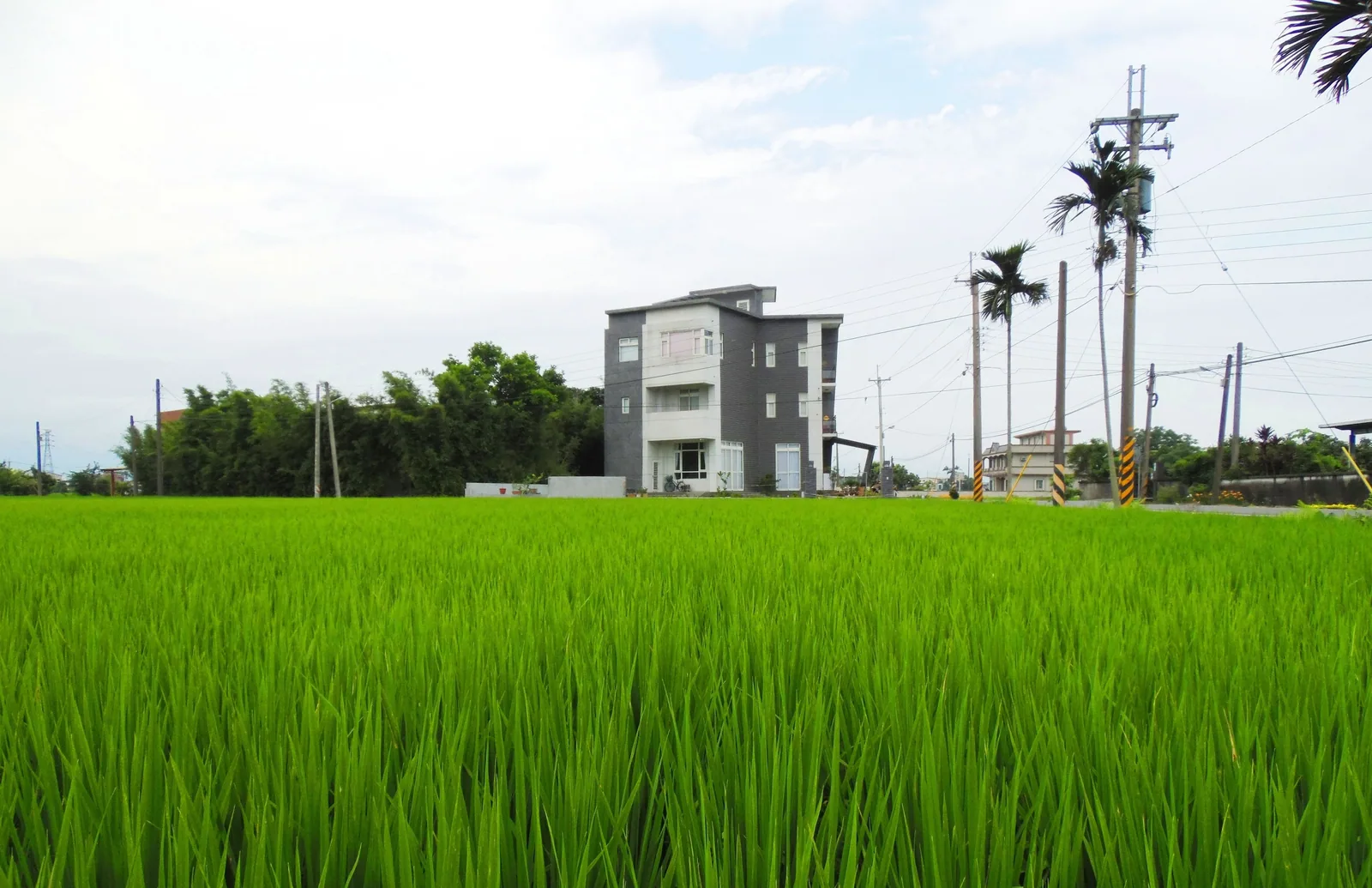 竹跡庭園渡假會館住宿照片 4