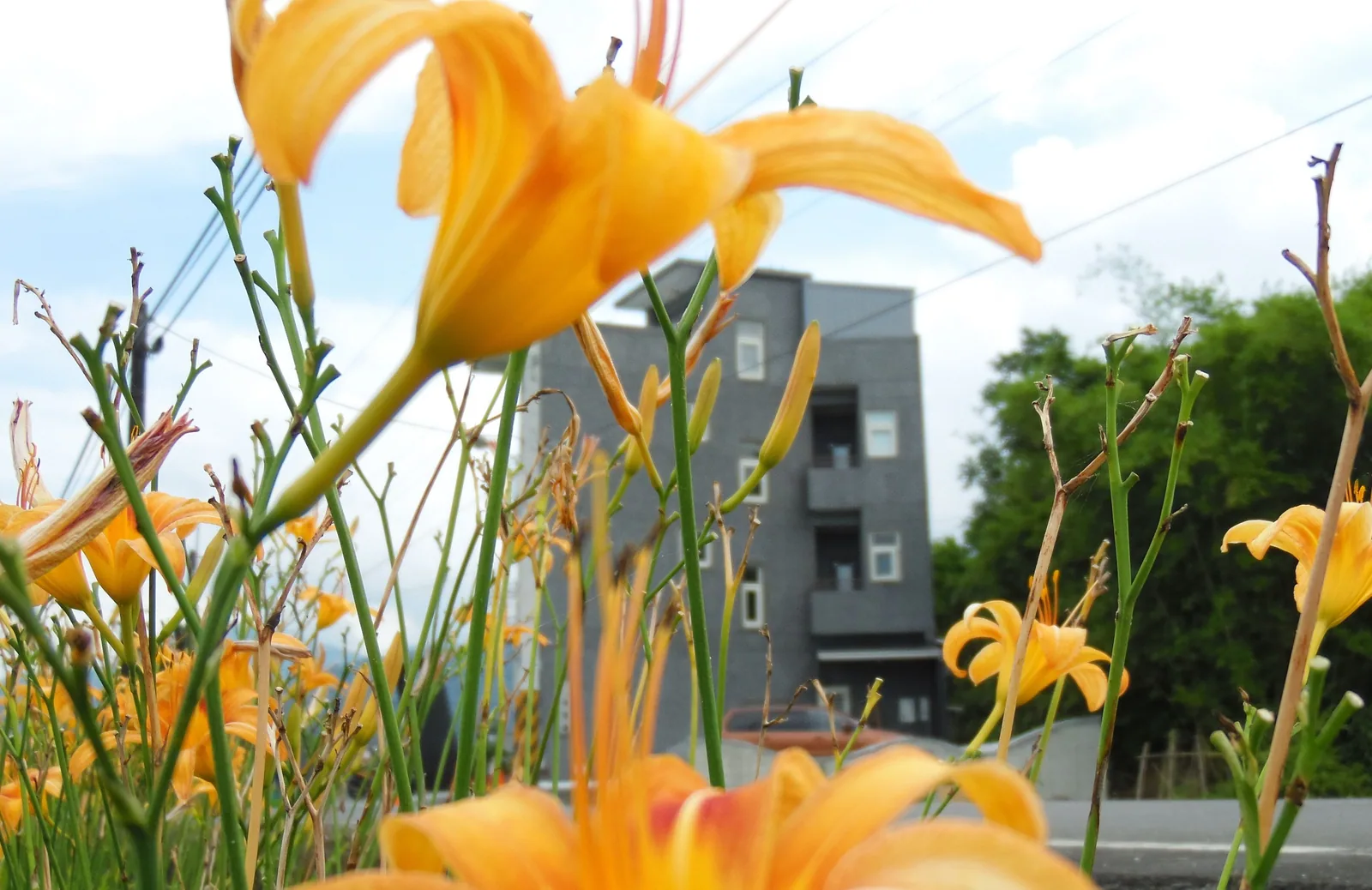 竹跡庭園渡假會館住宿照片 17