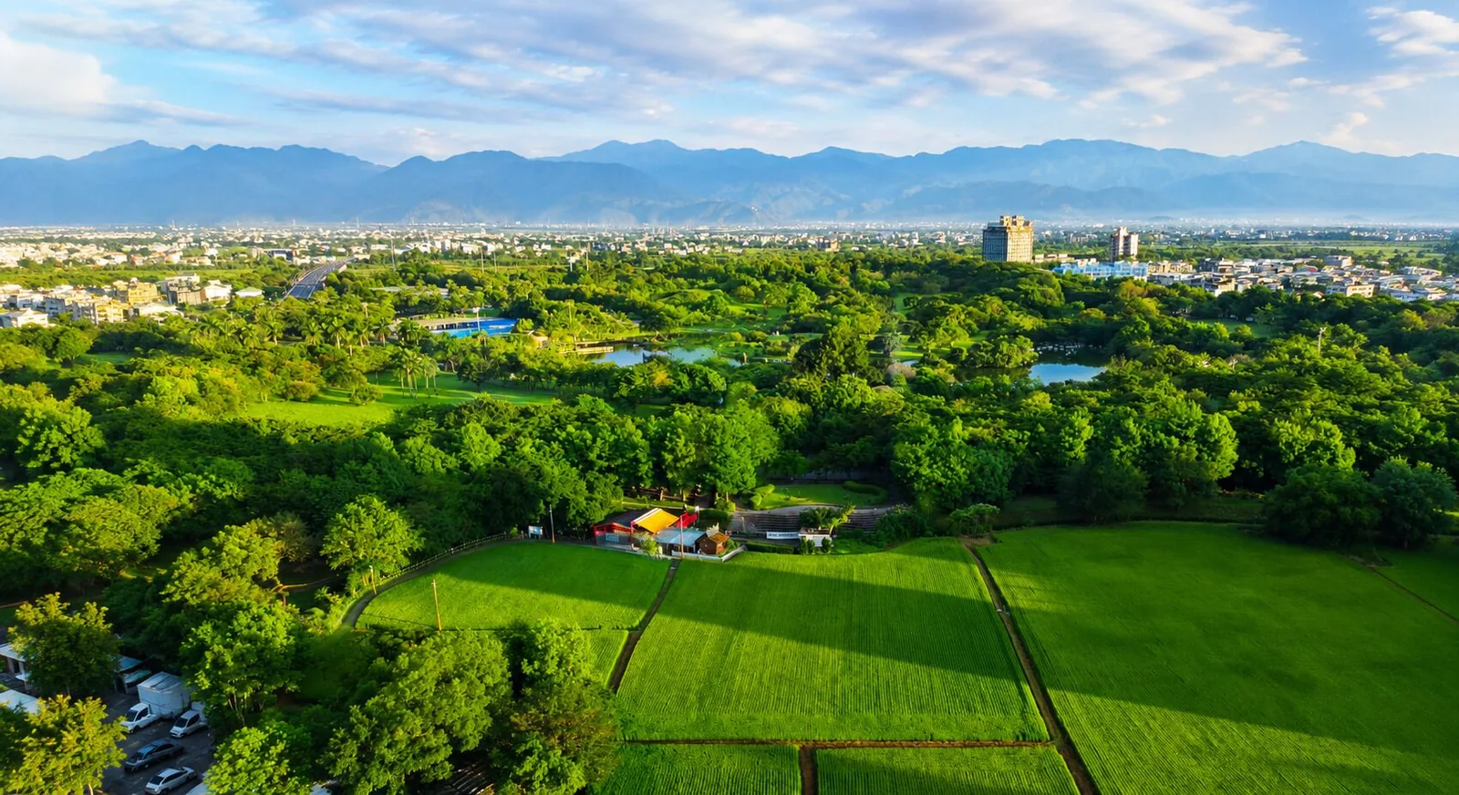 窗外那座公園