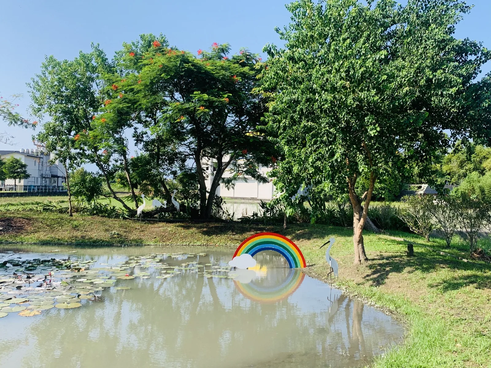 草地遊具、睡蓮池與那道彩虹