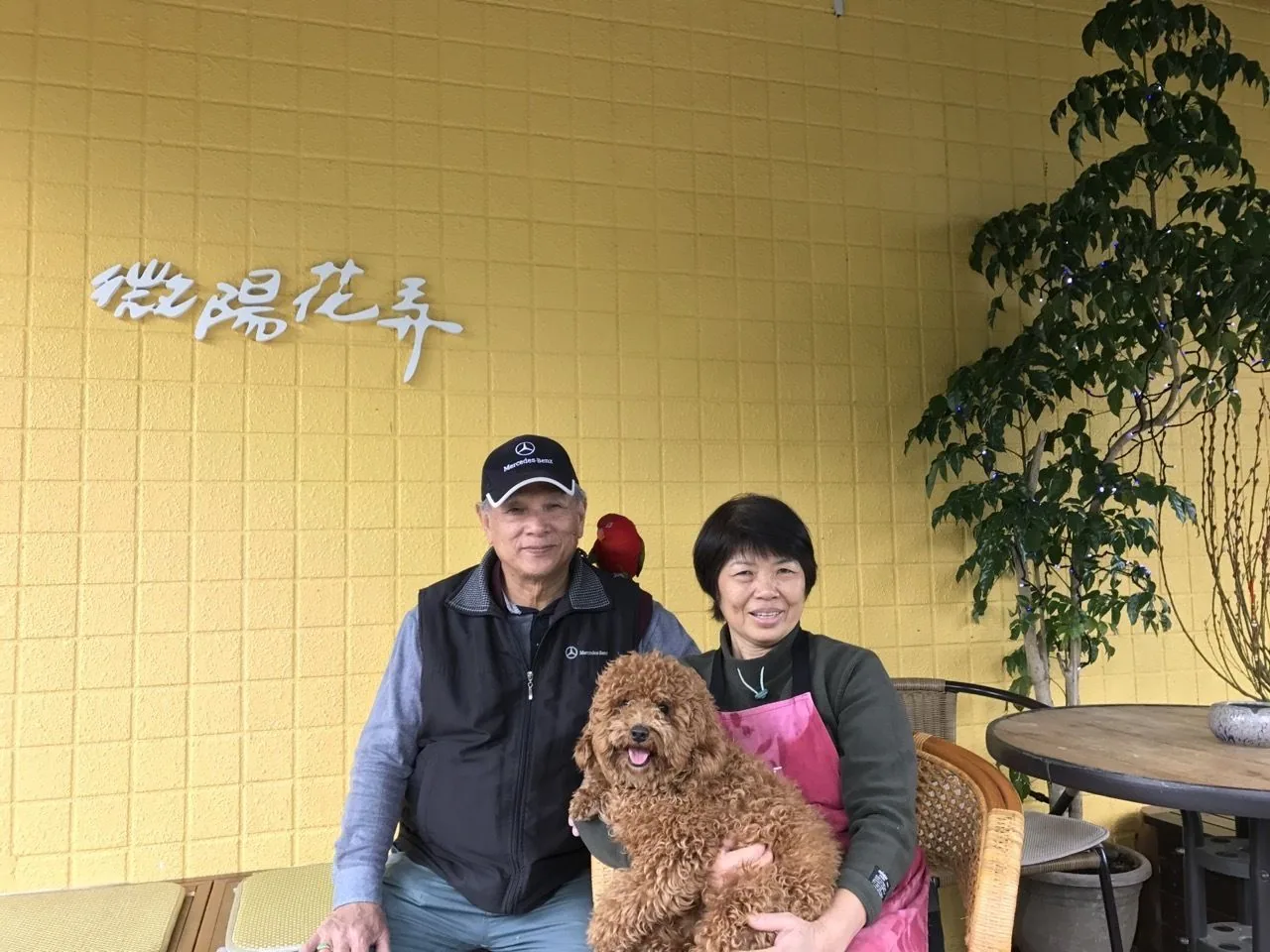 微陽花弄民宿 照片 27