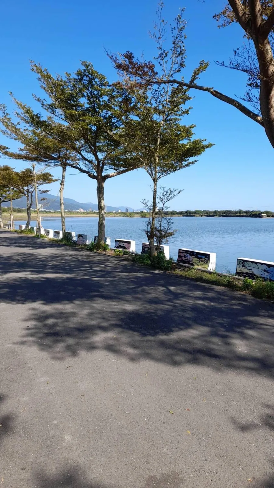 水鳥之家民宿