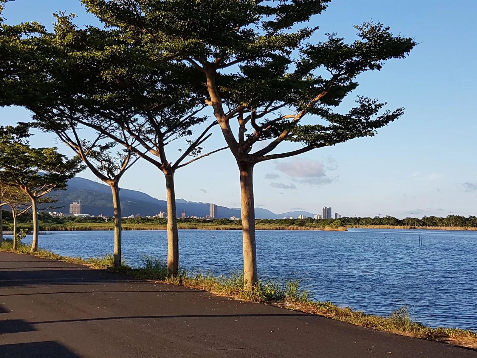 水鳥之家民宿 照片 34