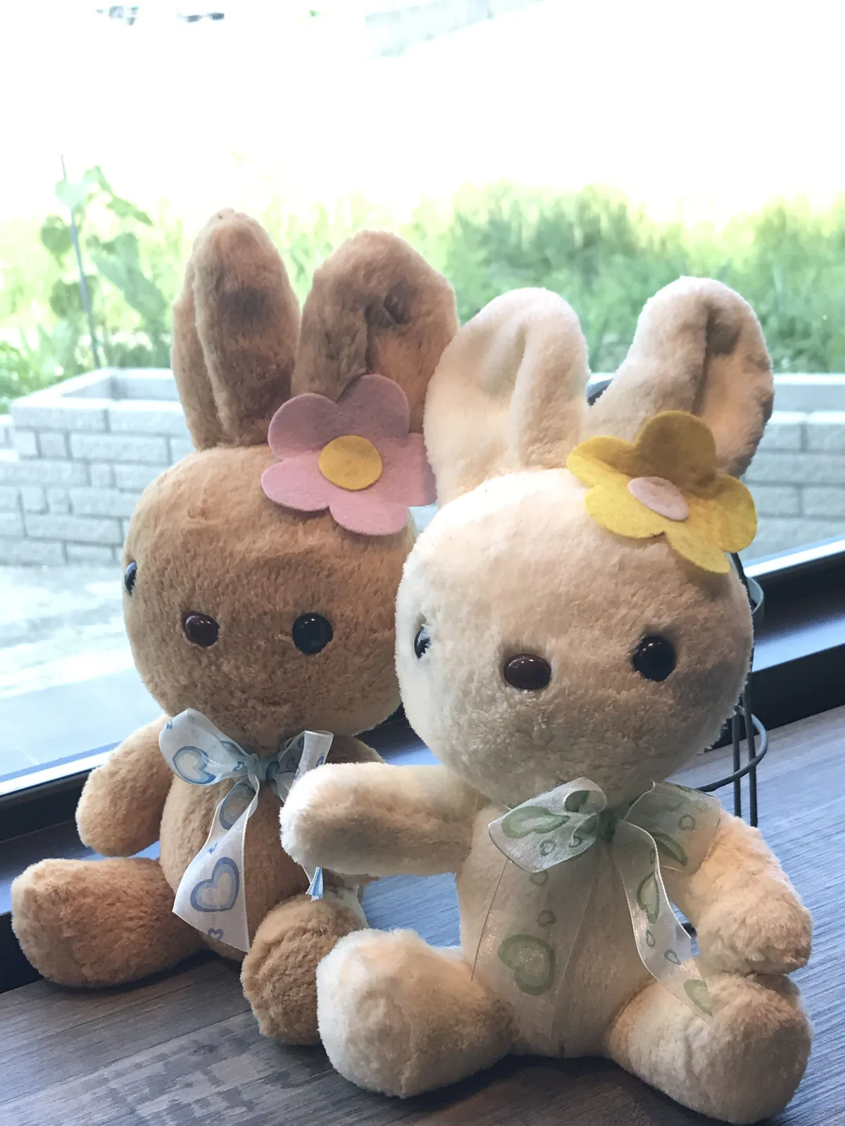 夏初民宿 照片 8