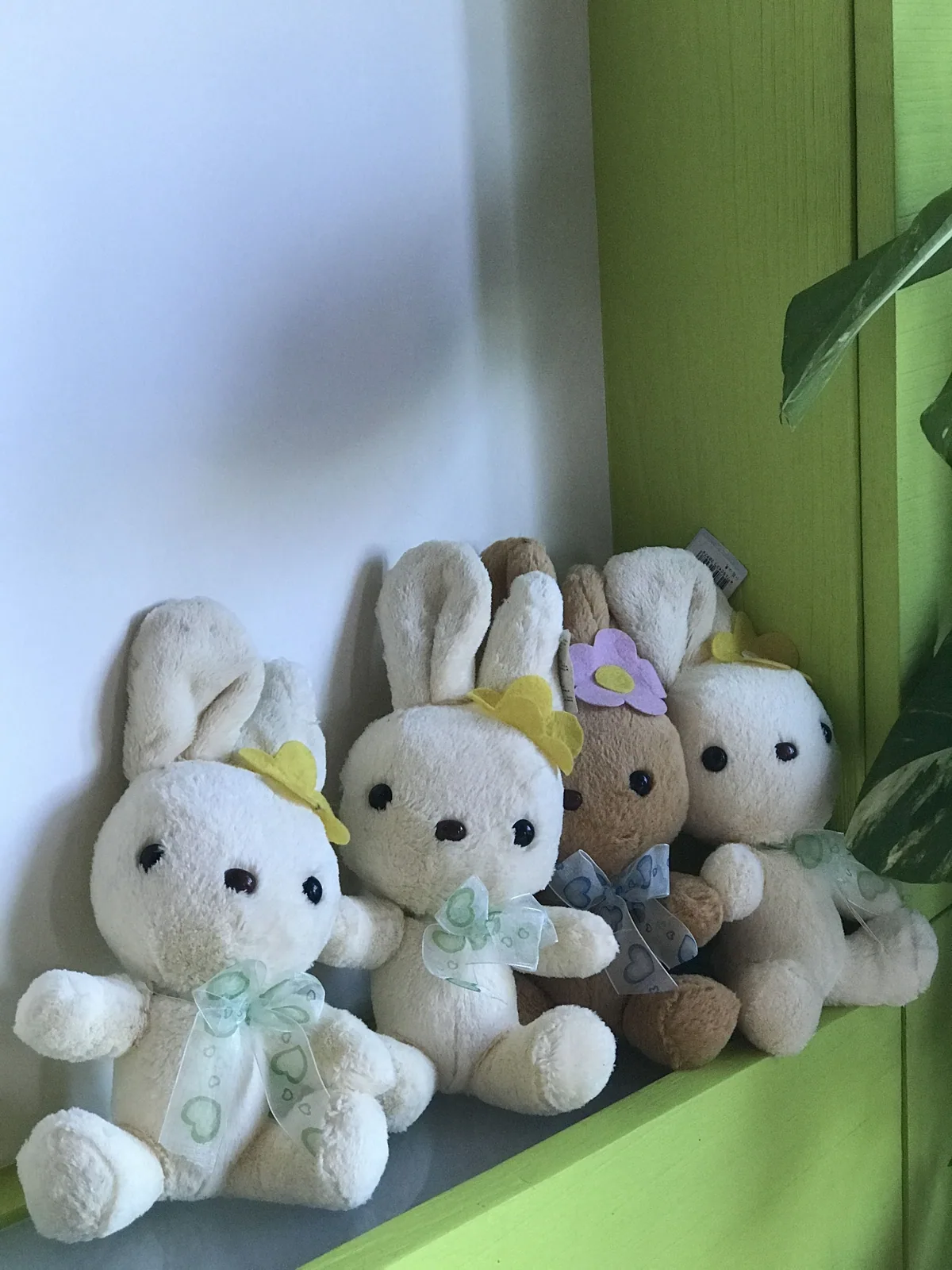 夏初民宿 照片 36