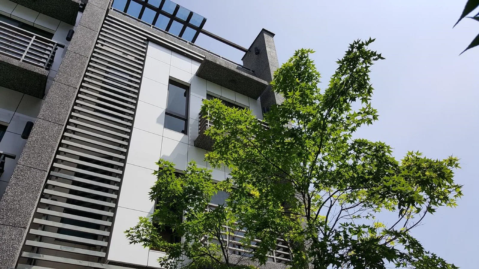靜界溫泉會館 照片 42