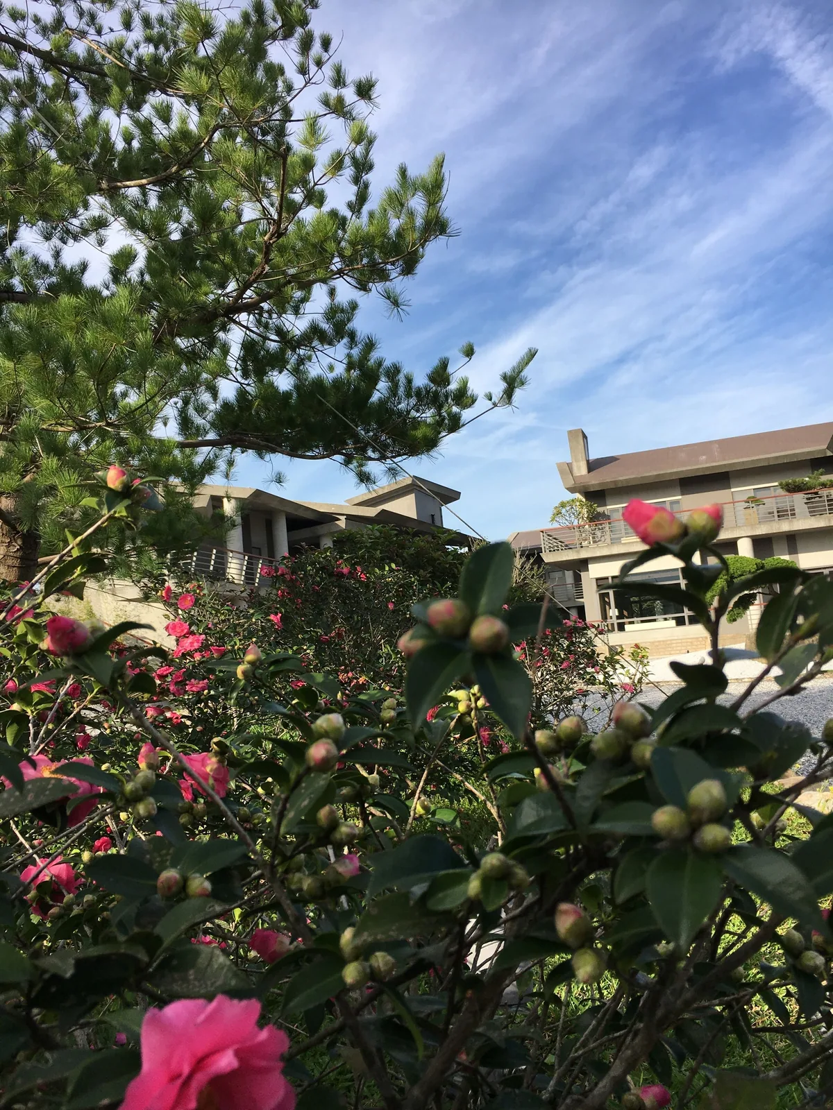 泉月樓行館