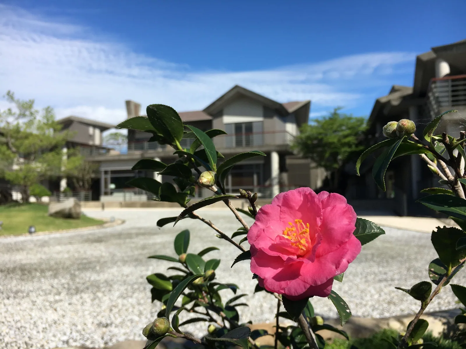 泉月樓行館