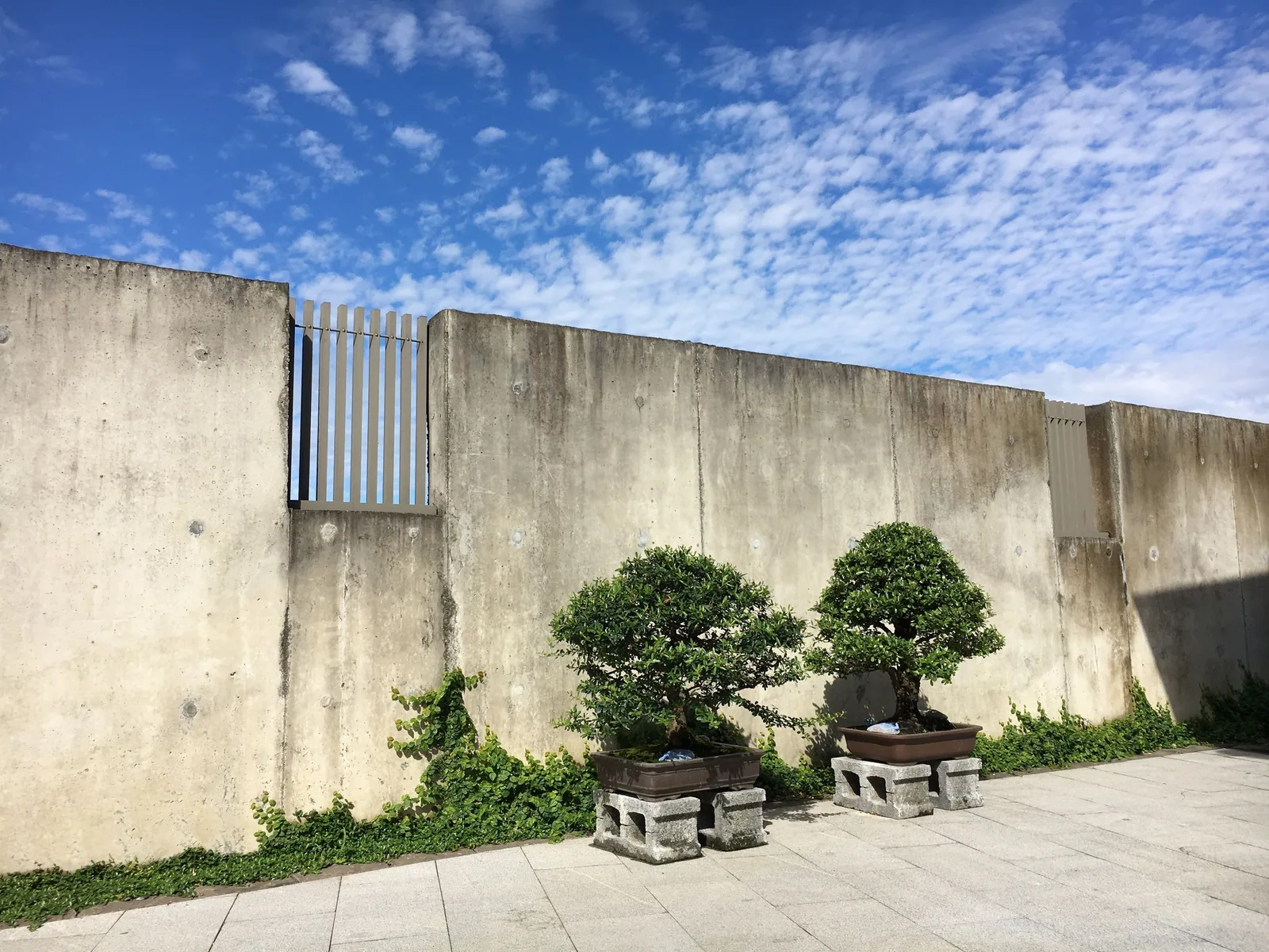 建築、庭園與周邊的自行車道