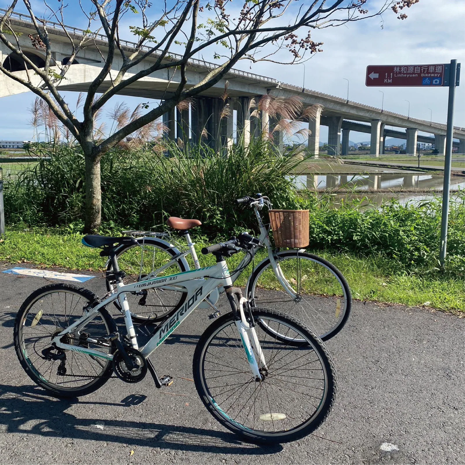 建築、庭園與周邊的自行車道
