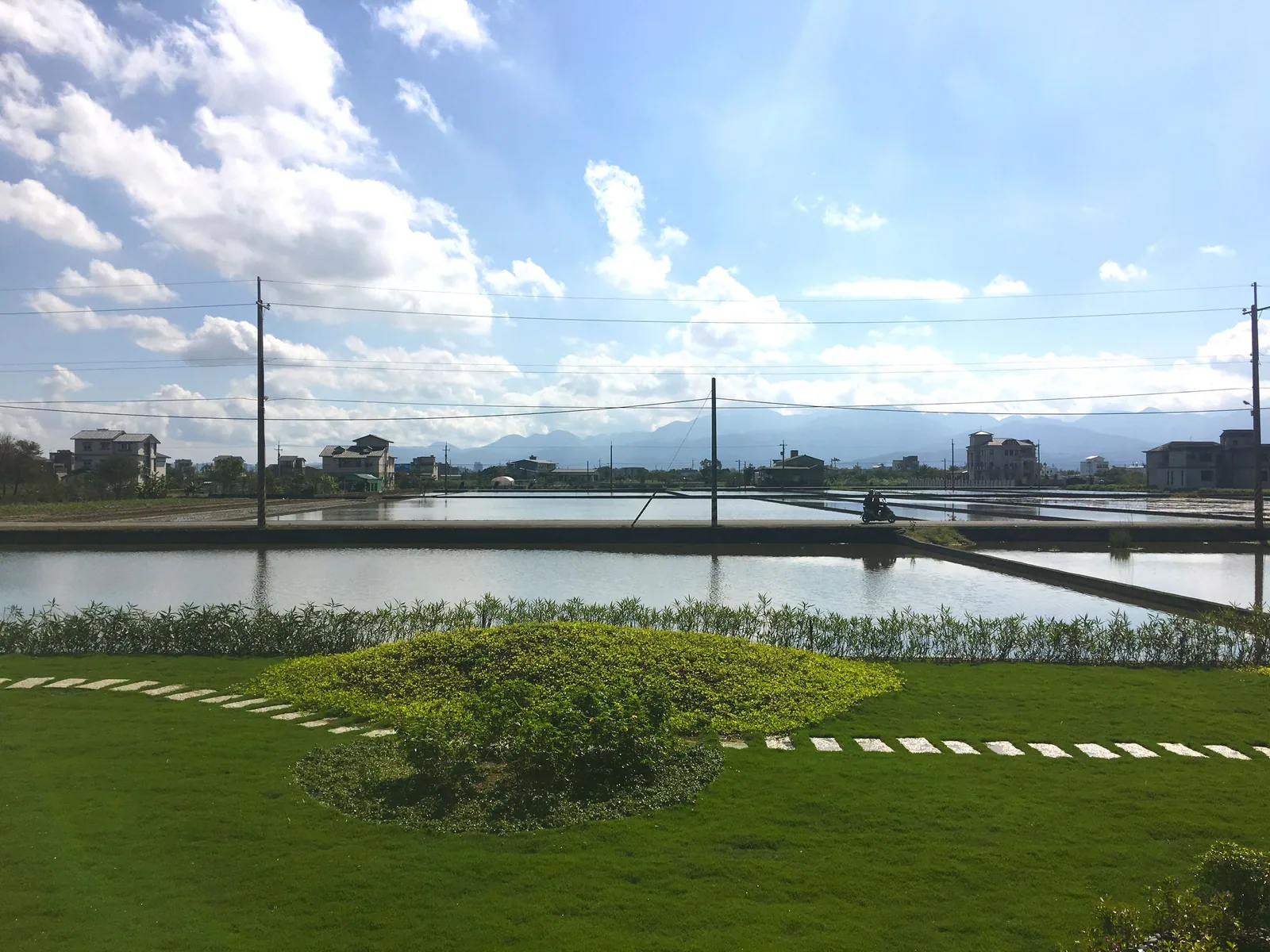 蓋在水田中間