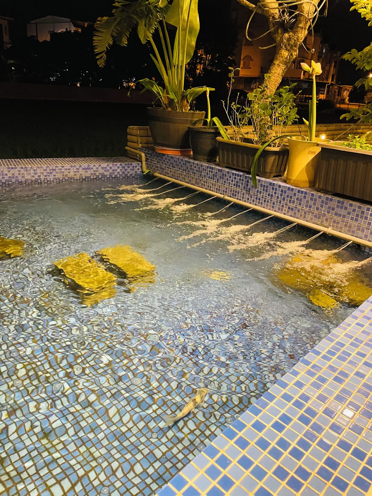 庭園與夜間燈光