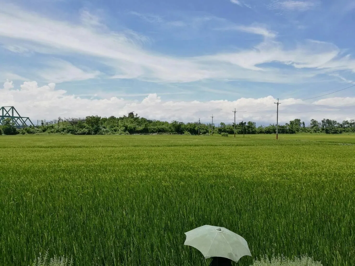 嗨斑馬輕旅行照片13