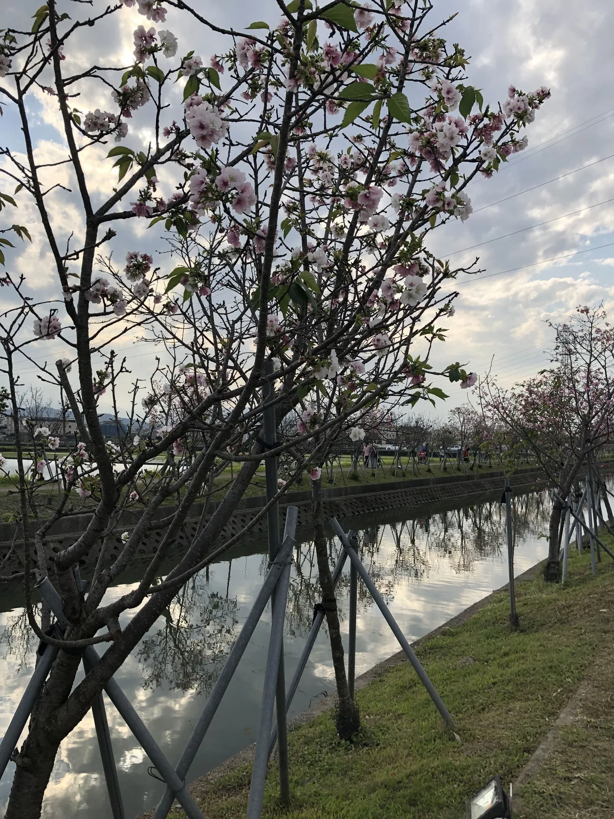 神之島民宿