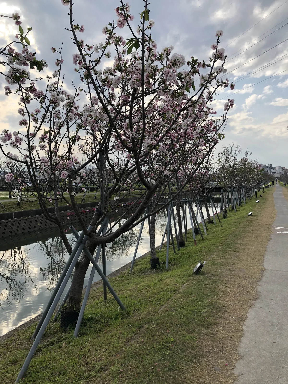 神之島民宿 照片 8