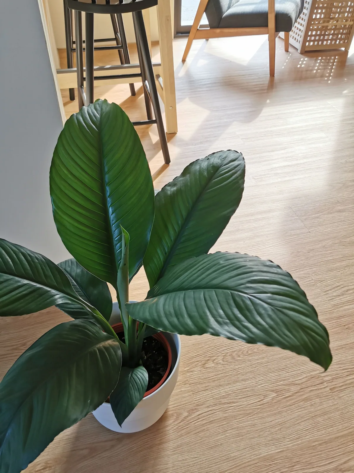 叢宿 照片 46