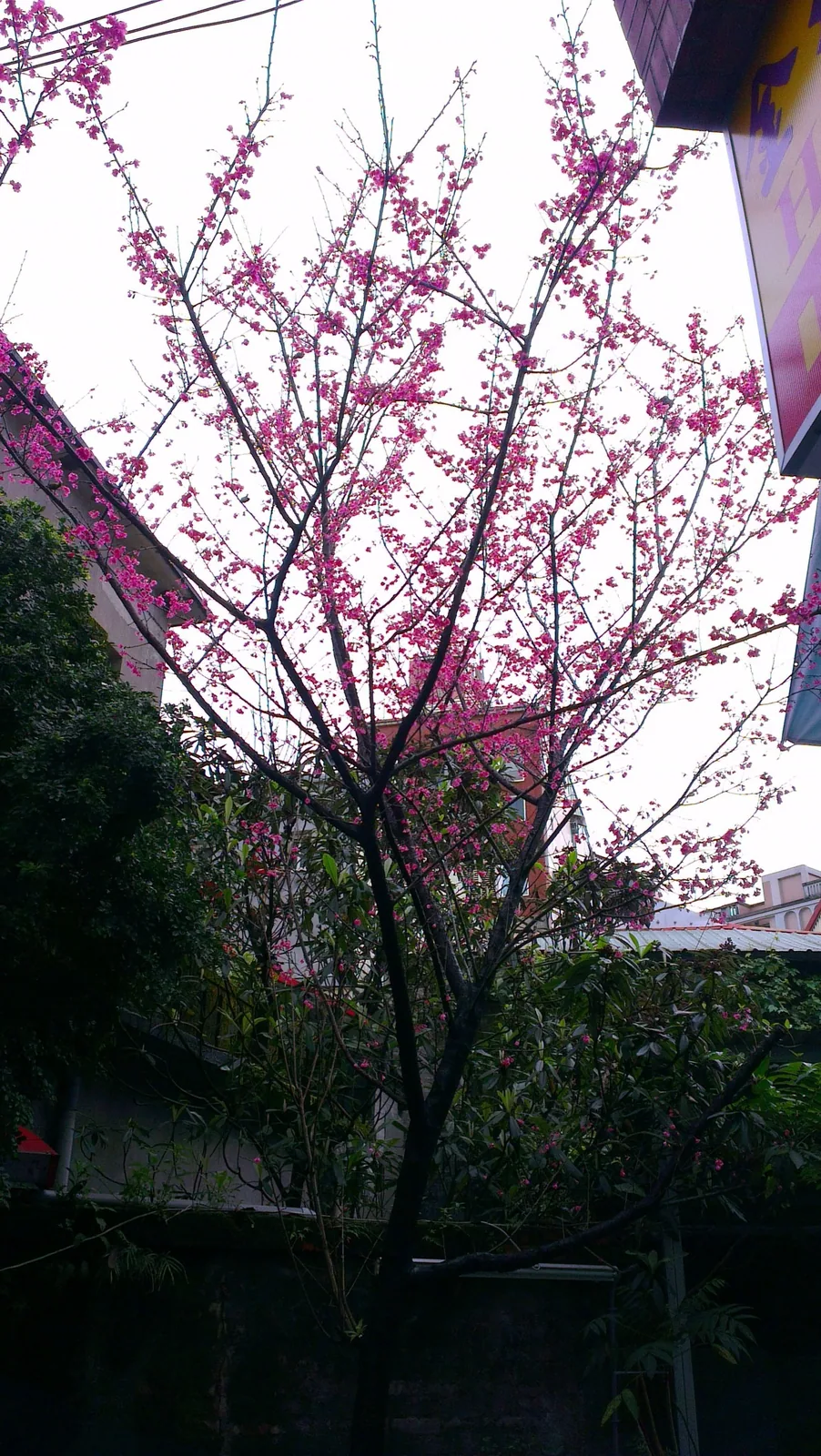 金城客棧住宿照片 9