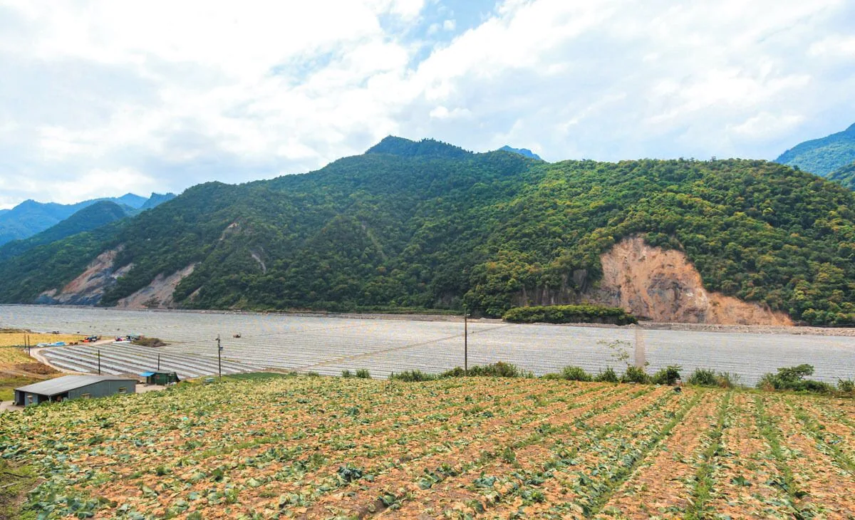 太平山旅居住宿照片 3