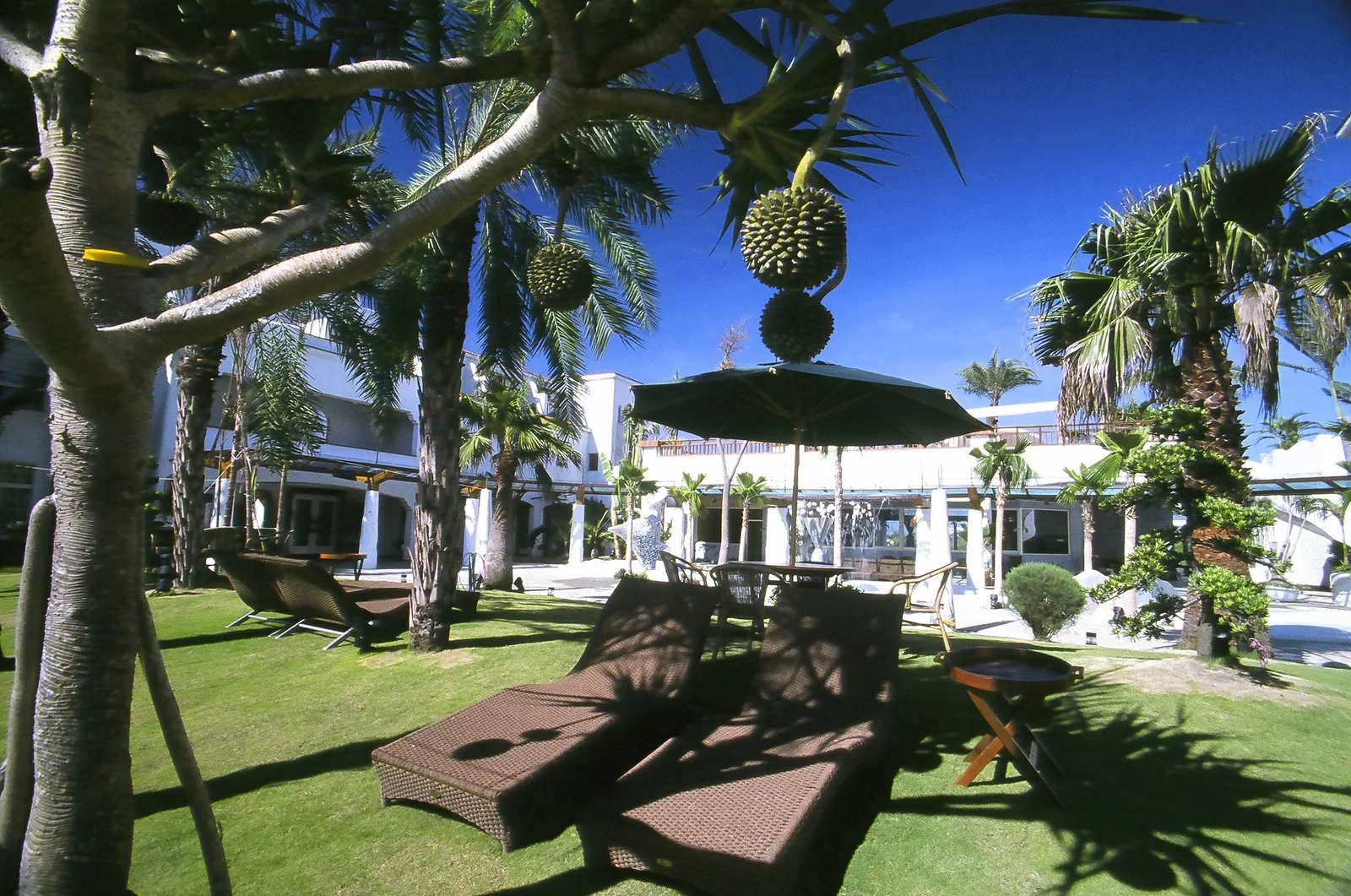 香格里拉冬山河渡假飯店 照片 33