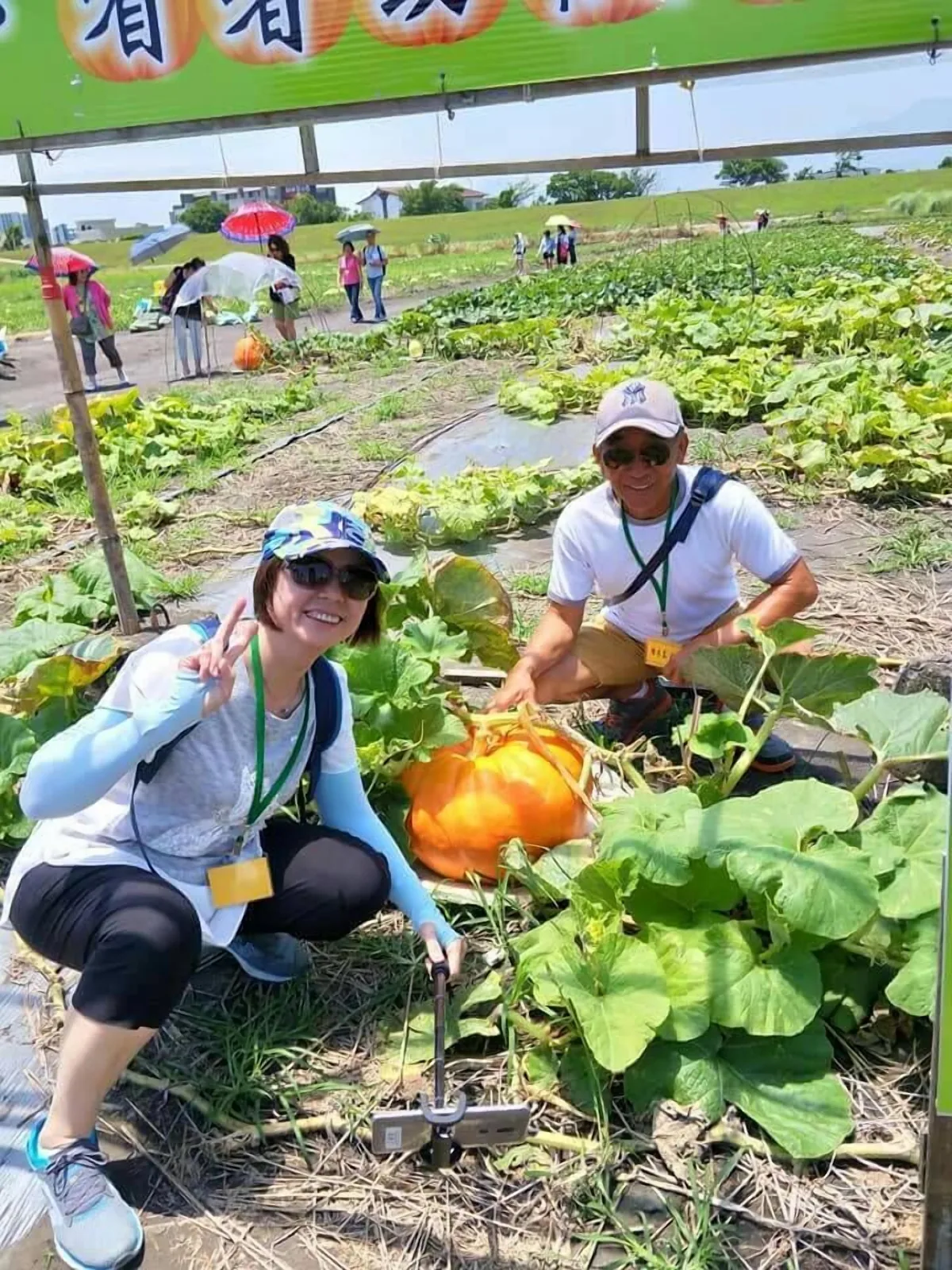 香草星空民宿住宿照片 48